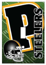 Pittsburgh Steeler Light Switch Cover